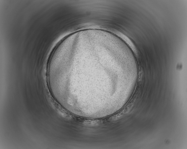 X0000096631051200802261200