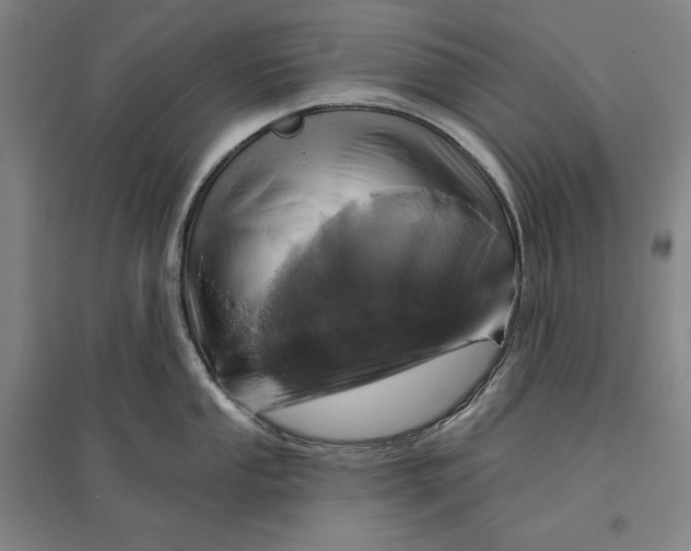X0000096631053200802261200