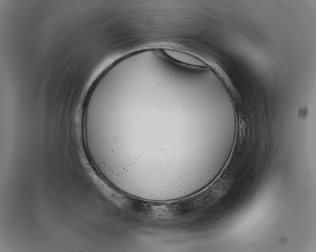 X0000096631054200802261200