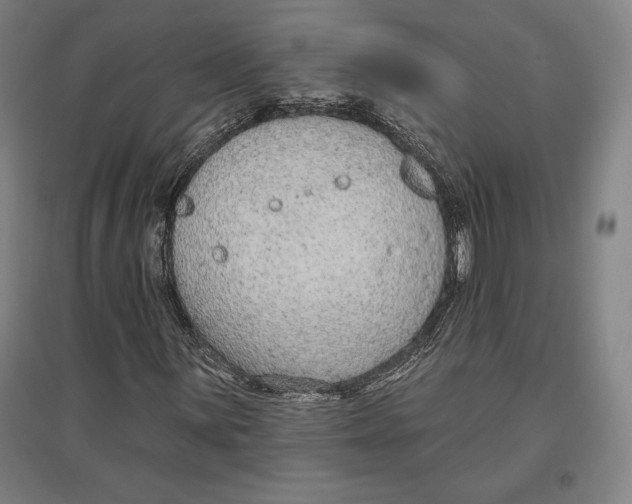 X0000096631059200802261159