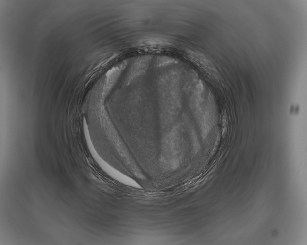X0000096631060200802261159