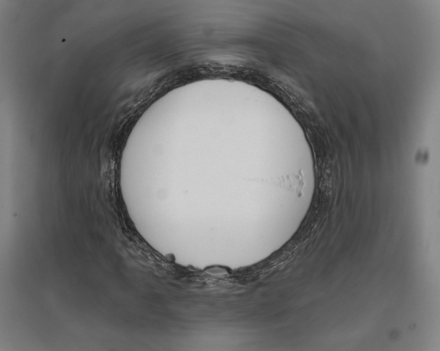 X0000096631061200802261159