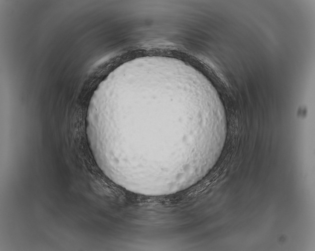 X0000096631063200802261159