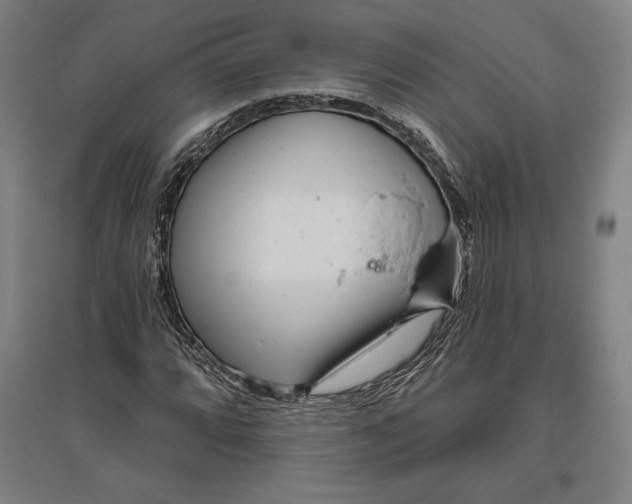 X0000096631064200802261159
