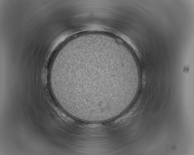 X0000096631067200802261159