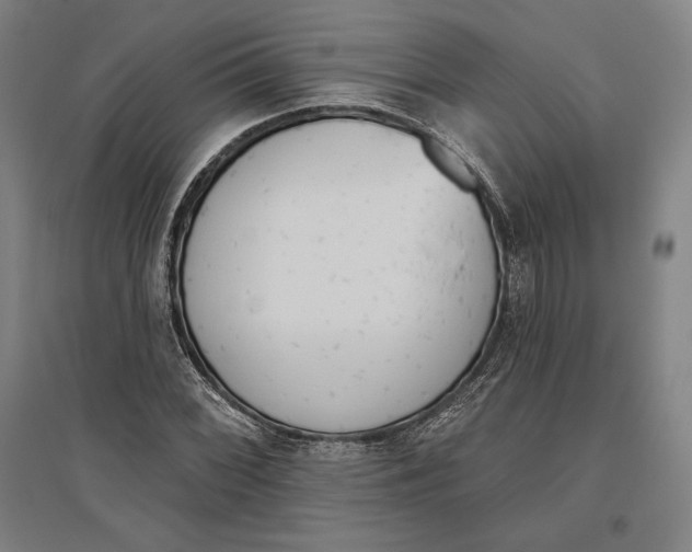 X0000096631068200802261159