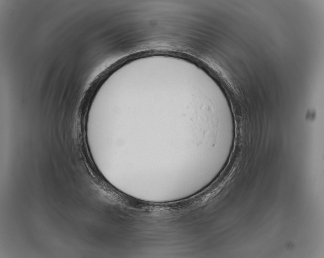 X0000096631070200802261159
