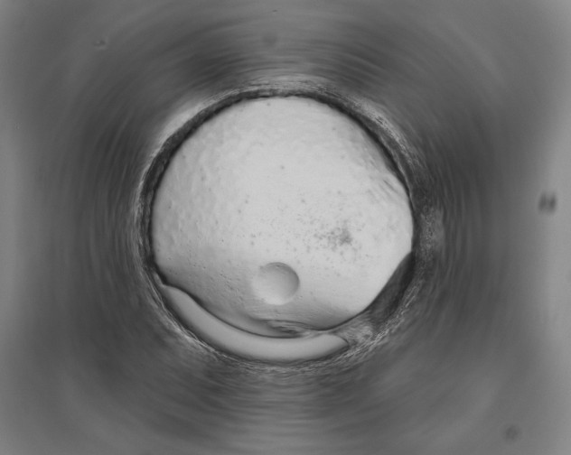 X0000096631071200802261159