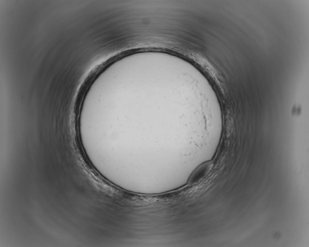 X0000096631072200802261159