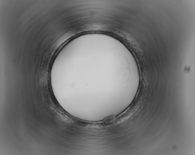 X0000096631073200802261159