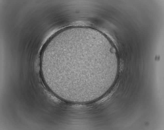 X0000096631075200802261159