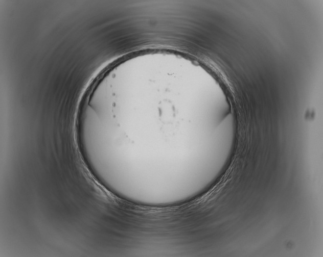 X0000096631076200802261159