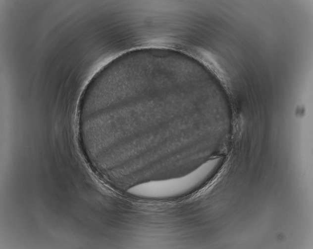X0000096631077200802261159