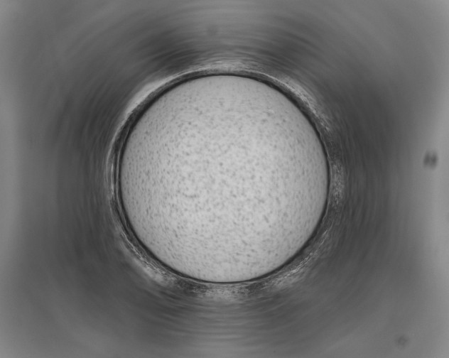 X0000096631078200802261159