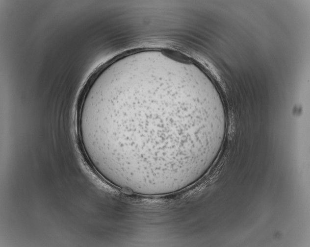 X0000096631080200802261159