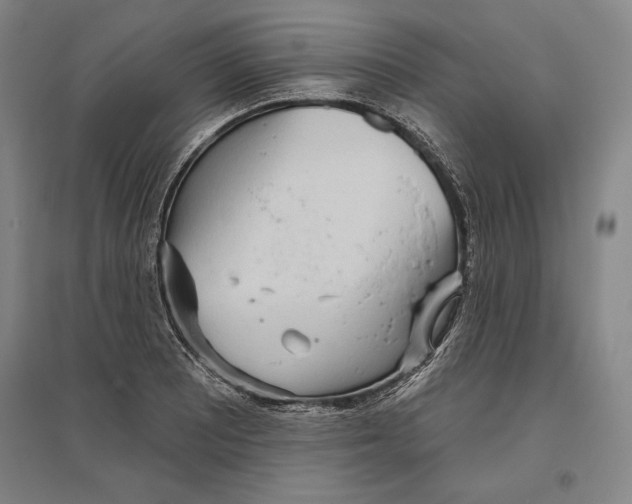 X0000096631081200802261159