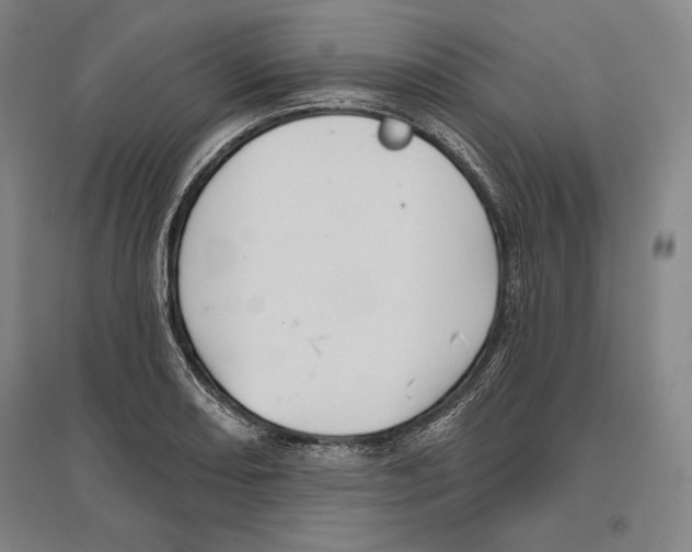 X0000096631082200802261159