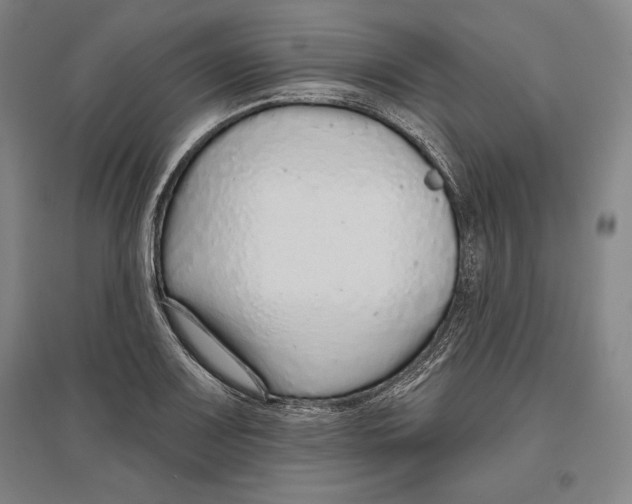 X0000096631083200802261159