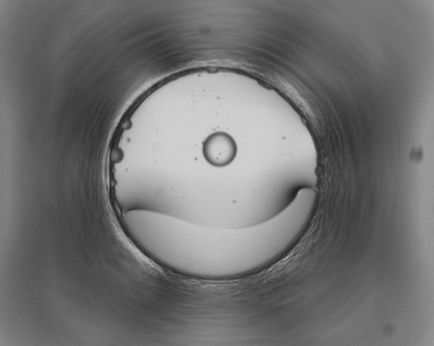 X0000096631084200802261159
