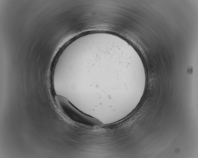 X0000096631085200802261159