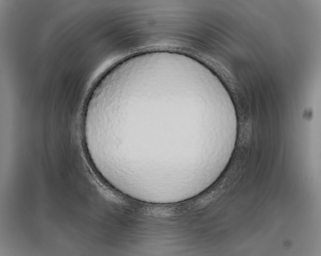 X0000096631086200802261159