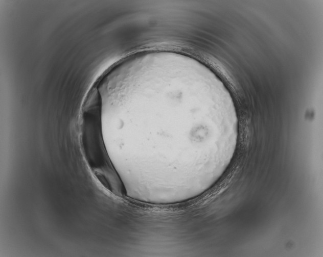 X0000096631087200802261159