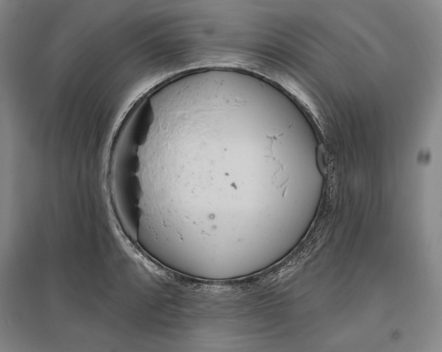 X0000096631088200802261158