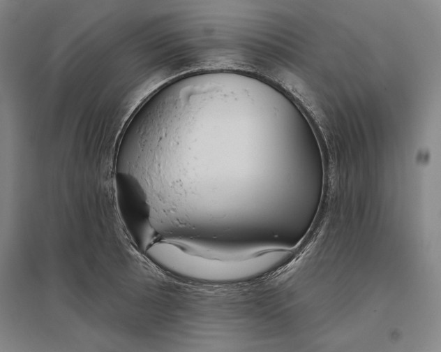 X0000096631089200802261158