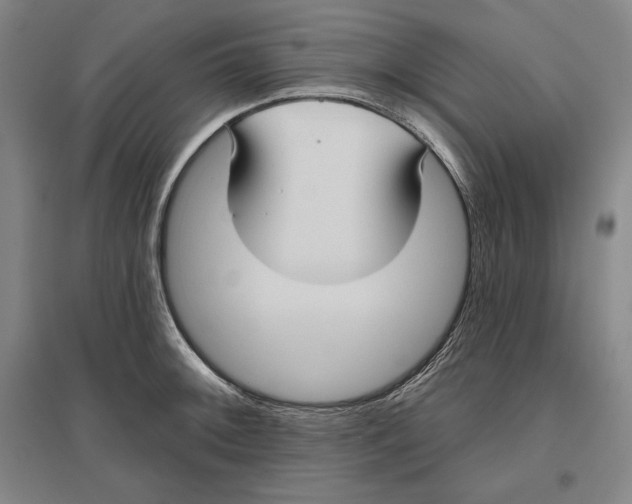 X0000096631092200802261158