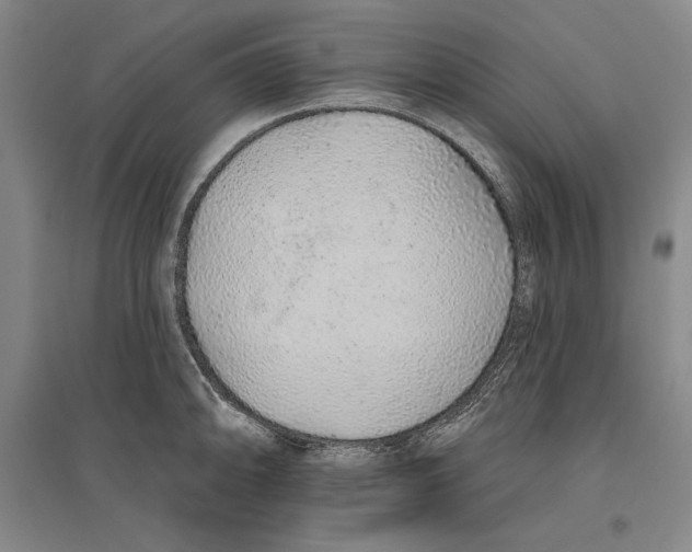 X0000096631094200802261158