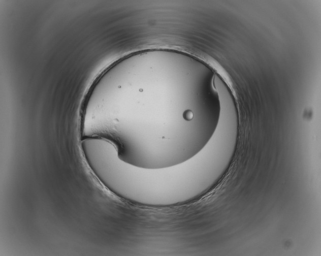 X0000096631096200802261158