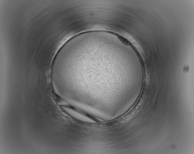 X0000096631097200802261158