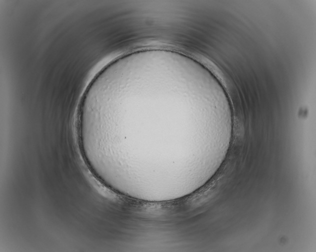 X0000096631098200802261158