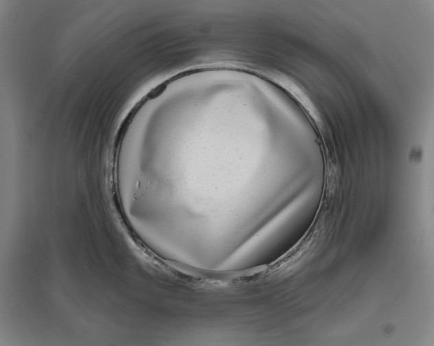 X0000096631101200802261158