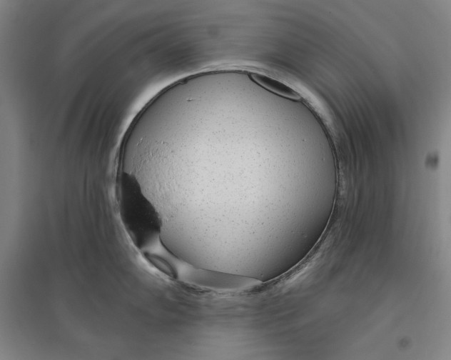 X0000096631102200802261158