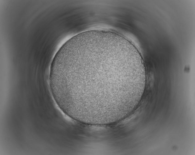 X0000096631103200802261158