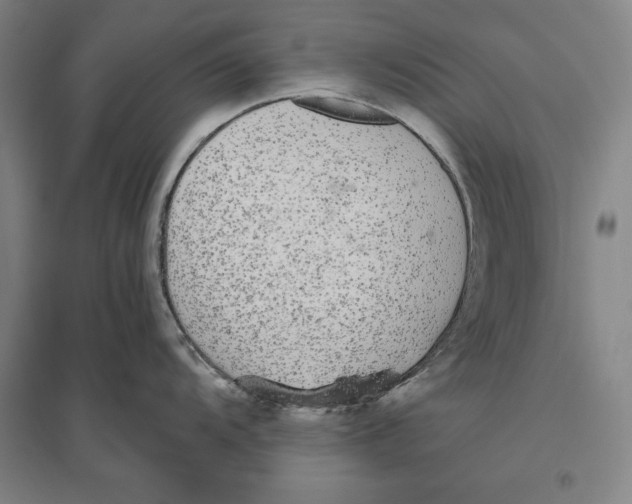 X0000096631104200802261158