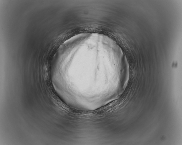 X0000096631106200802261158
