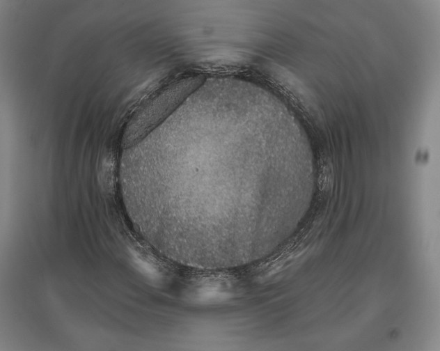 X0000096631108200802261158