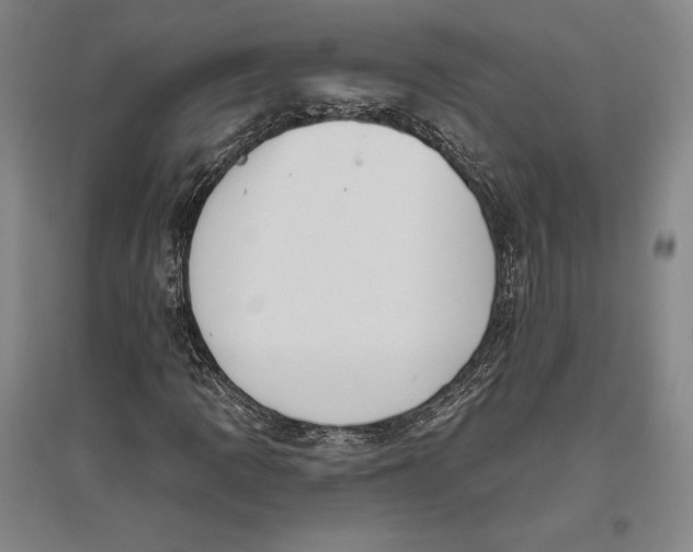 X0000096631109200802261158