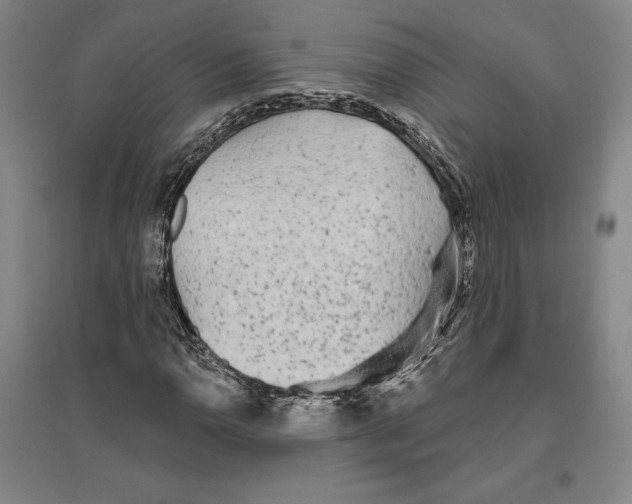 X0000096631110200802261158