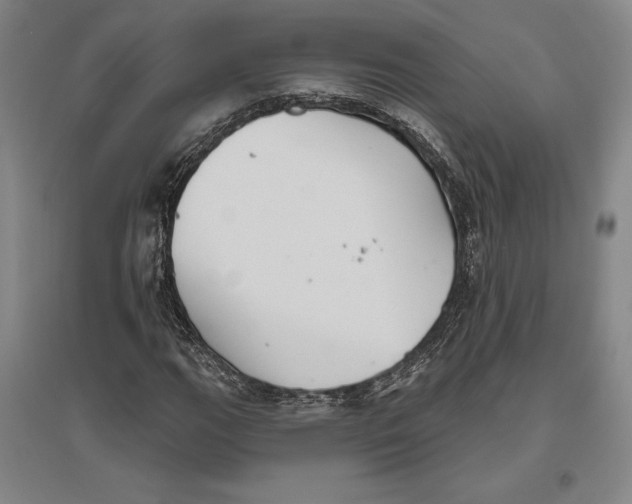 X0000096631111200802261158
