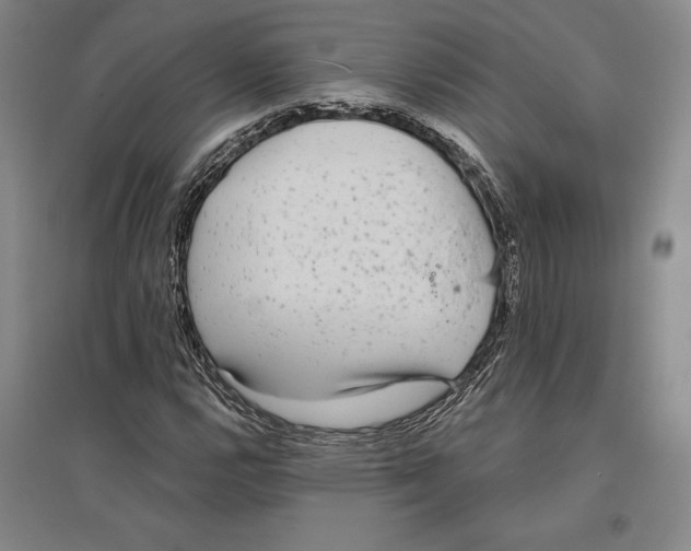 X0000096631112200802261158