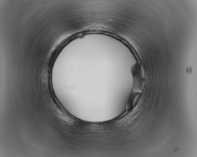 X0000096631115200802261158