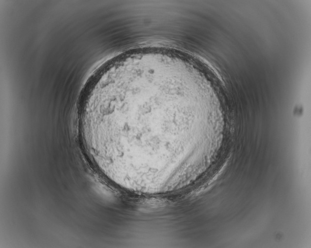 X0000096631117200802261158