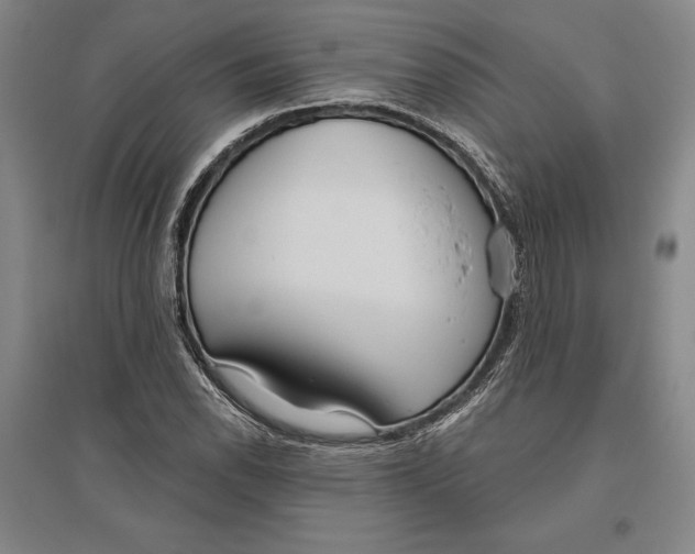 X0000096631118200802261158