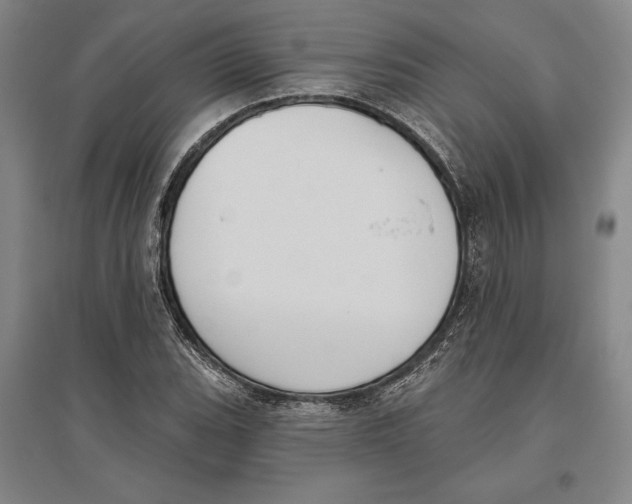 X0000096631119200802261158