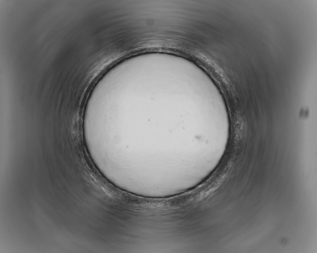 X0000096631121200802261158