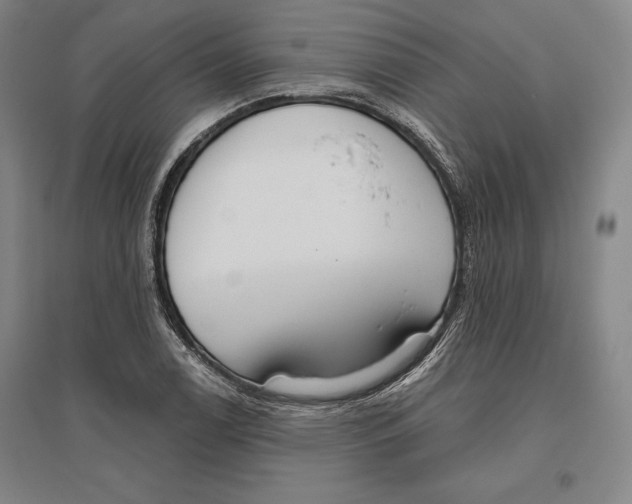 X0000096631122200802261158