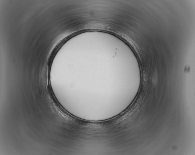 X0000096631123200802261158